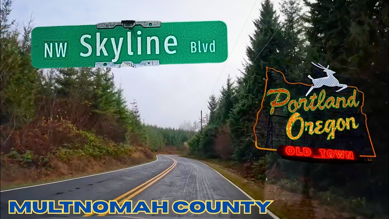 NW Skyline Blvd | Multnomah County | Portland, OR | BMW E39 540i Exhaust Notes