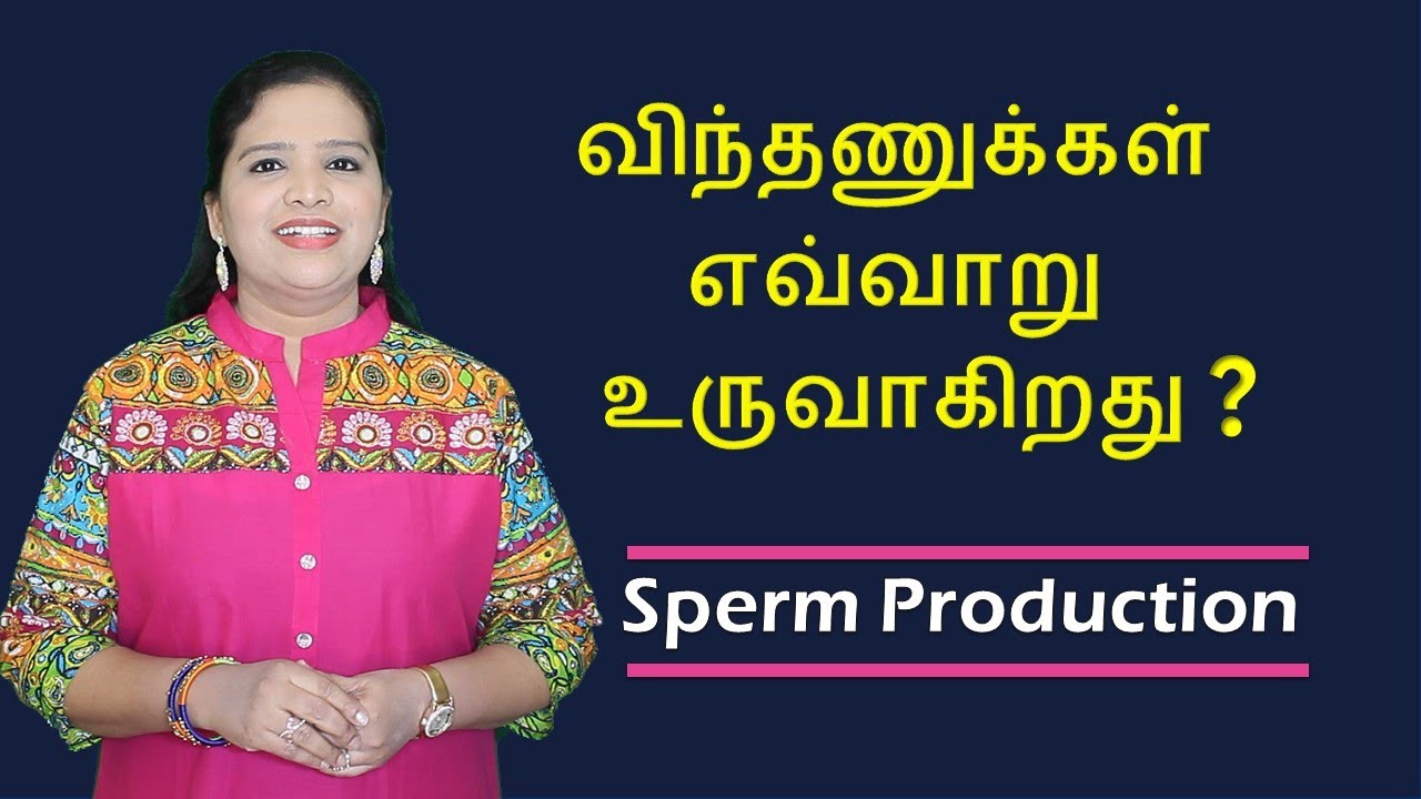 How Sperms are Formed? | Spermatogenesis | Tamil