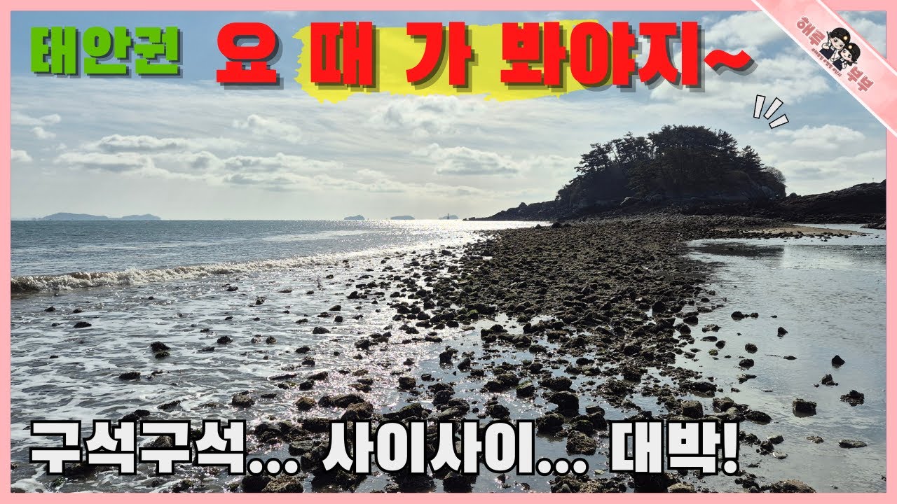 태안권 지금 못가면 다음에는 후회하는 곳