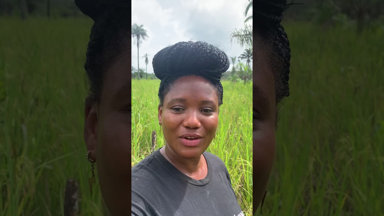 View of the farm, video 1 of 3  - Monrovia, Liberia