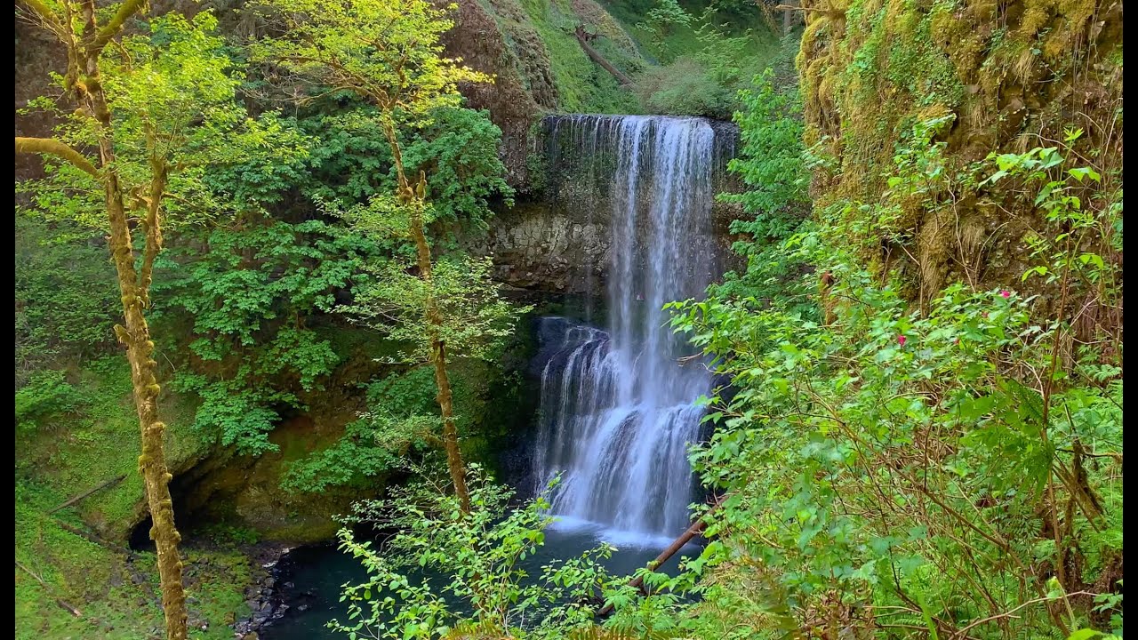Silver Falls Park with relaxing music 4K