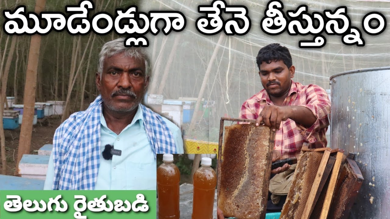 130 పెట్టెలతో తేనె తీసి అమ్ముతున్నం | Honey Farming | రైతు బడి