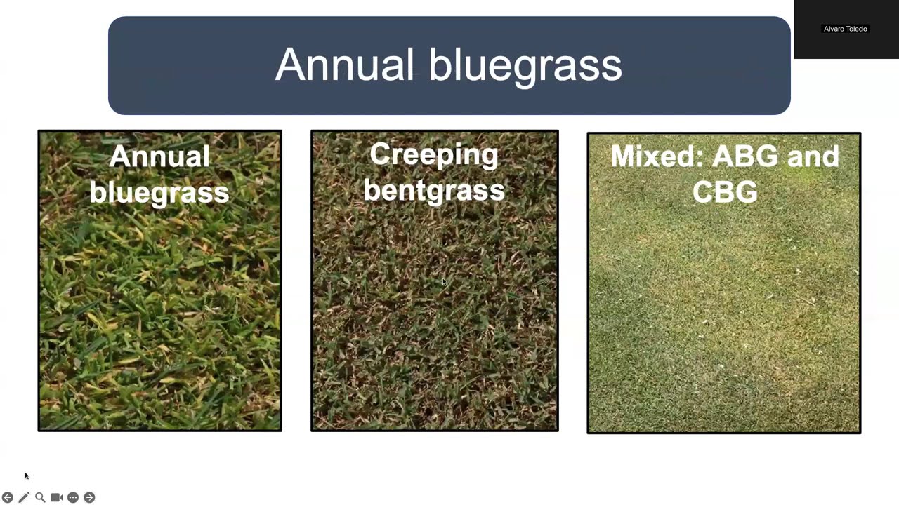 9.26.25 Compatibility of Plants, Beneficials, and Pesticides in Pest Management Systems.
