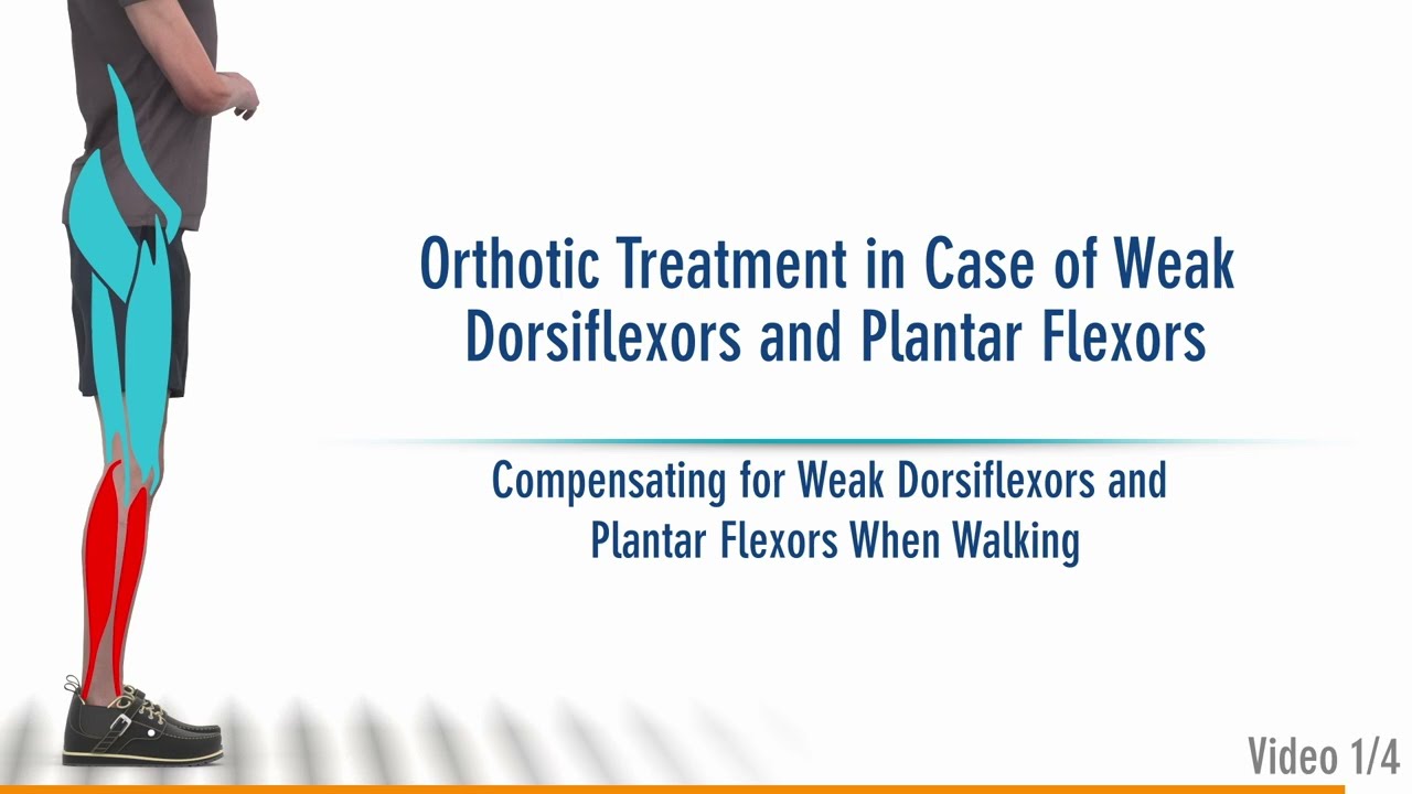 EN: The Right Orthosis in case of a Combined Weakness of the Dorsiflexors and Plantar Flexors (1/4)