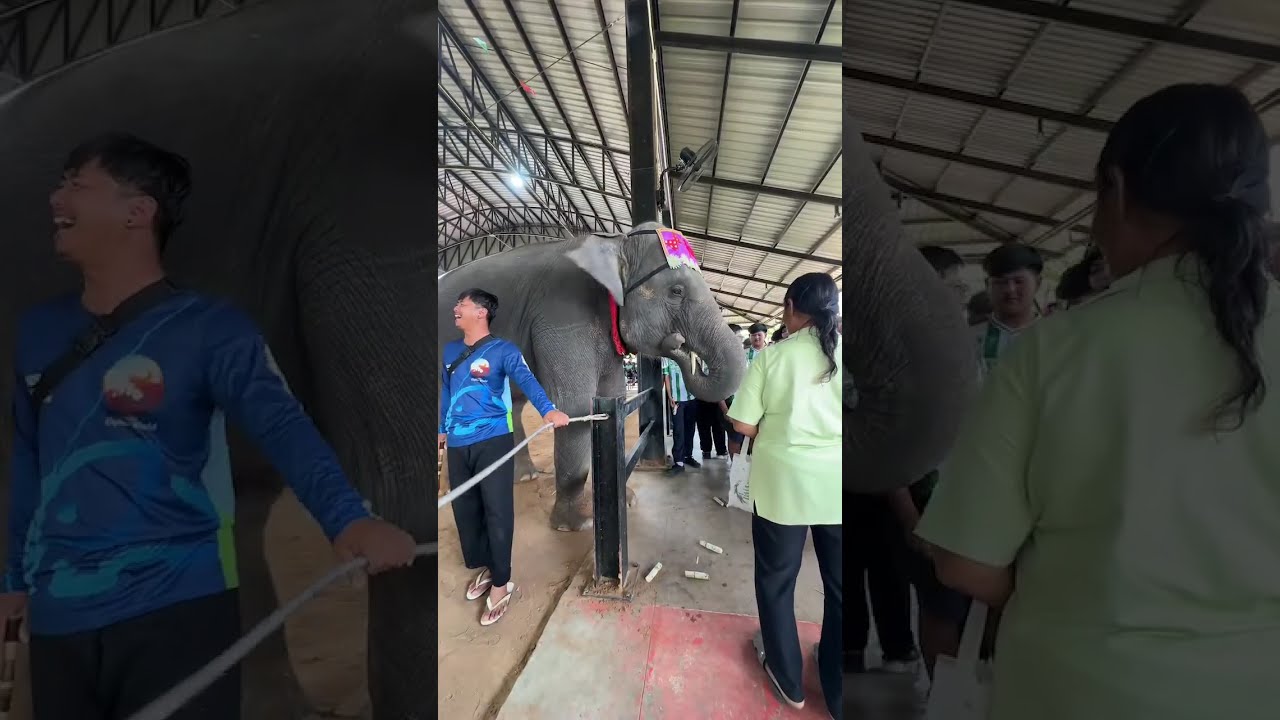 นักเรียนยังเยอะอยู่ค่ะ