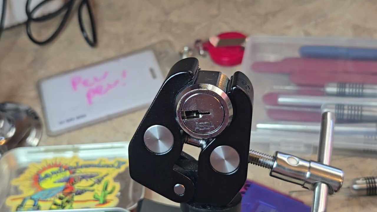 ASSA Desmo (brown belt) pick and gut