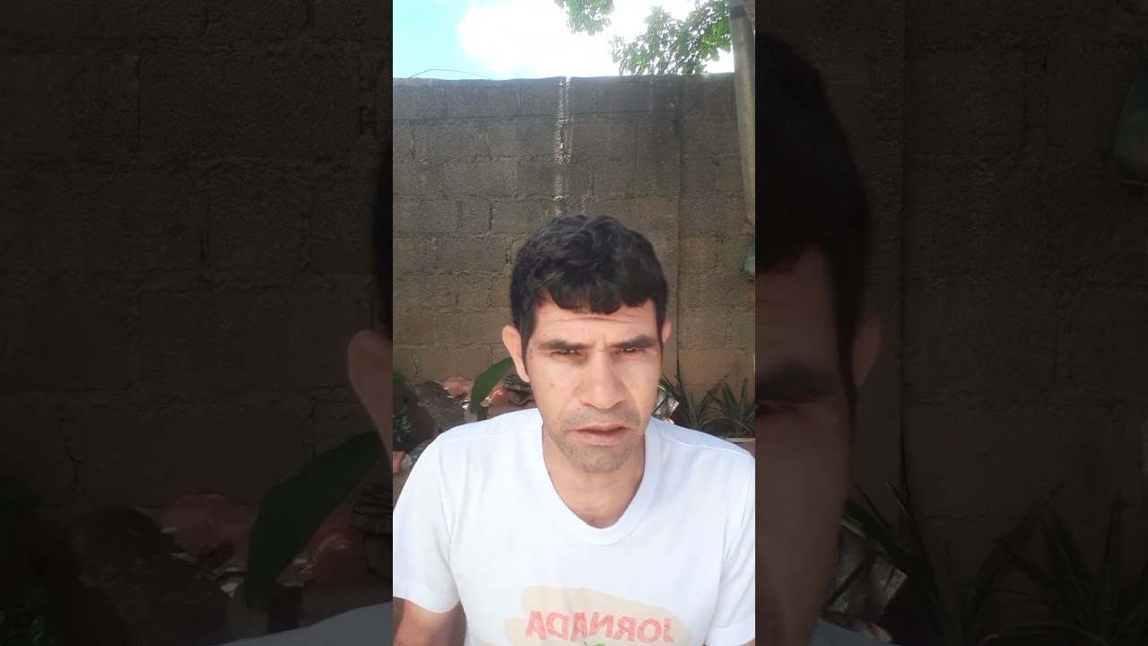 Filho  ( letra e música  Otacilio neto)