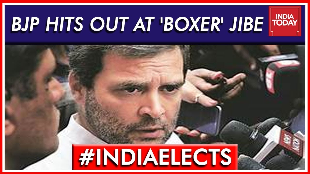 BJP Hits Back At Rahul Gandhi's 