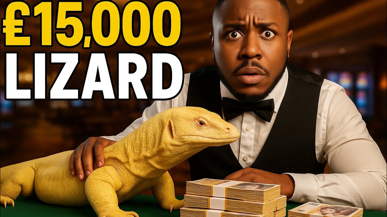 I Got The Most Rare Monitor Lizard In The UK!