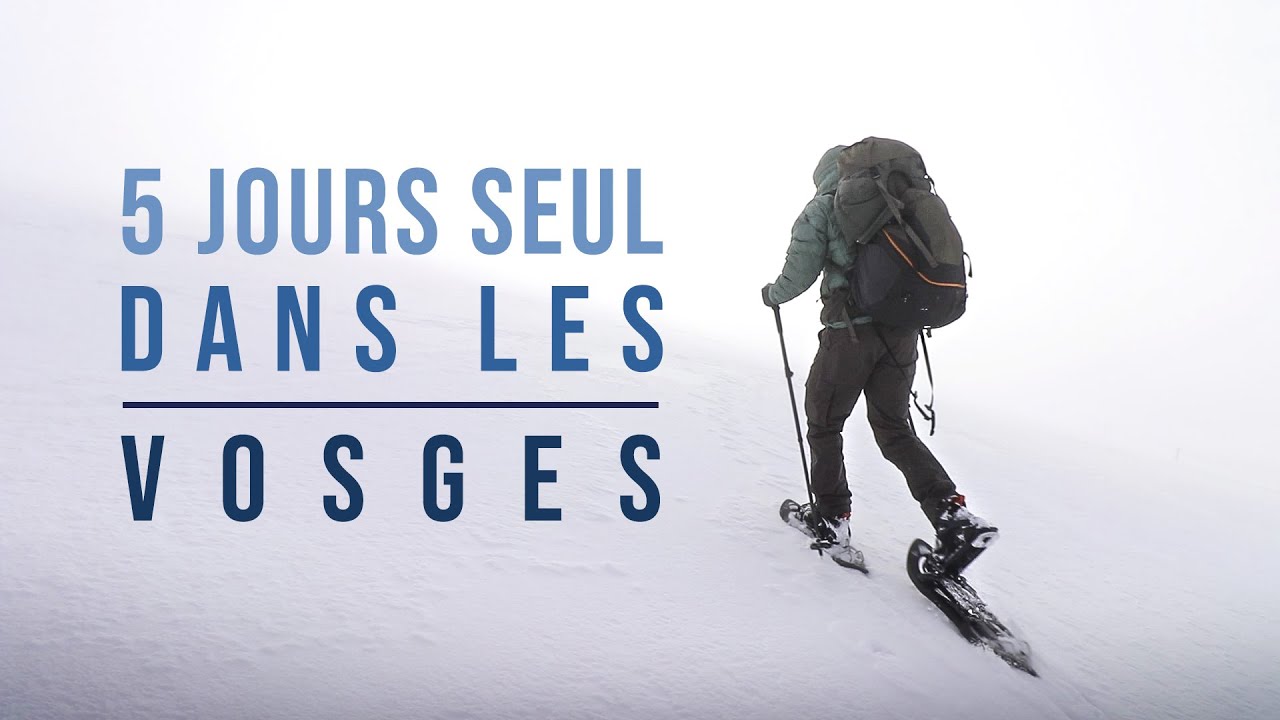 Seul durant 5 jours dans les VOSGES - Entre brume et soleil (photo animalière)