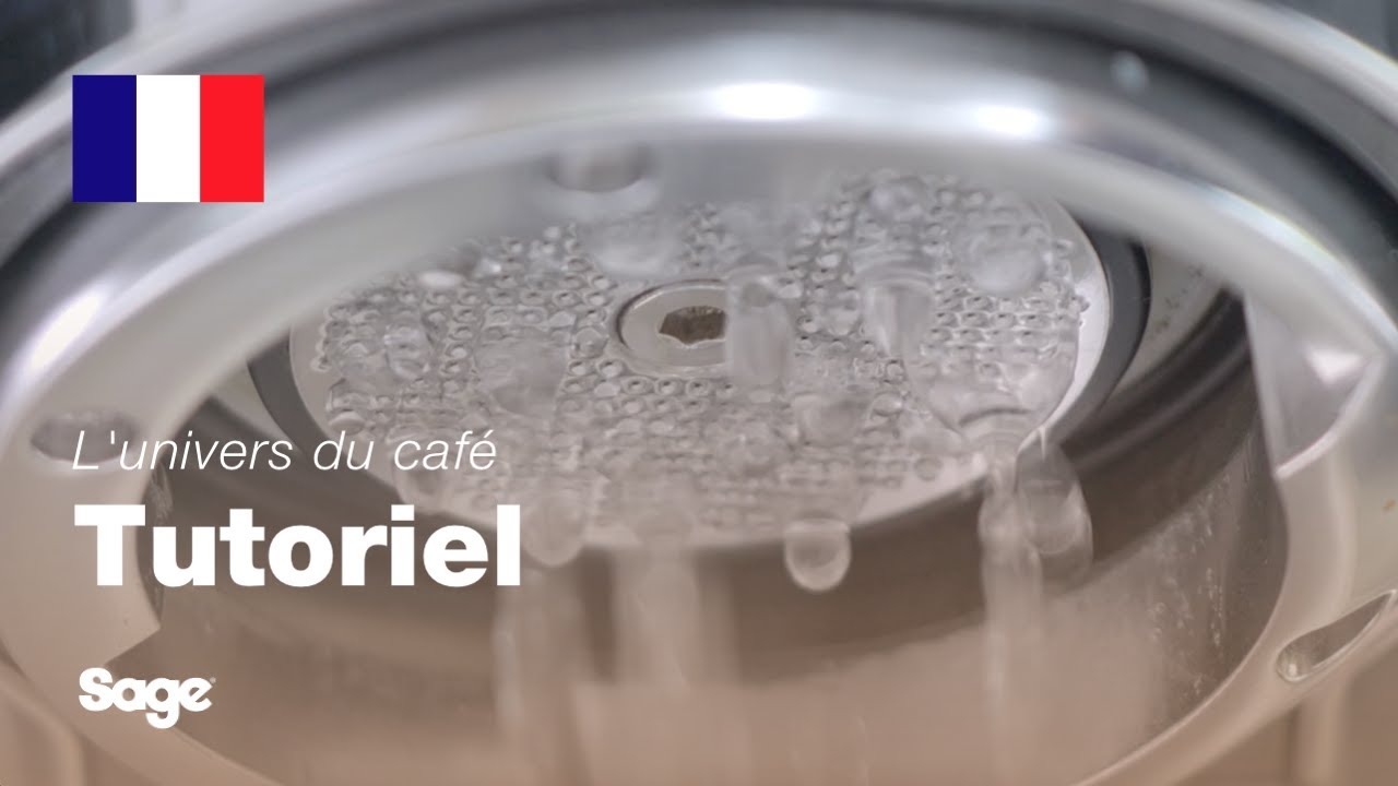 Tutoriels sur le café | Comment nettoyer et entretenir votre machine à expresso | Sage Appliances FR