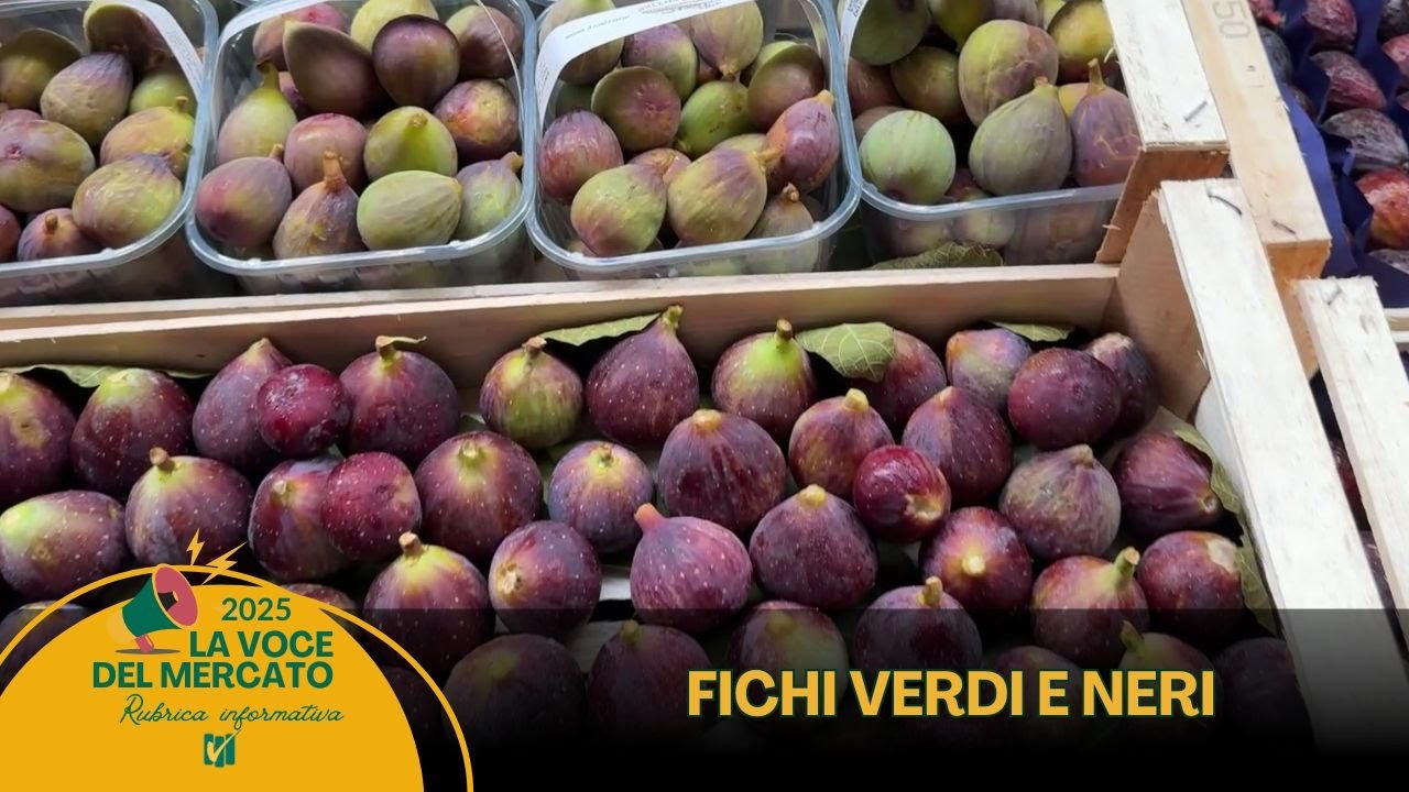 La voce del Mercato 10.09.2025: fichi  verdi e fichi neri locali