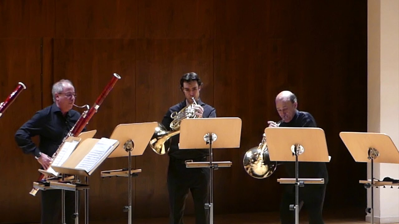 Rondino WoO 25 .  L.v. Beethoven . (Ensemble Matisse)