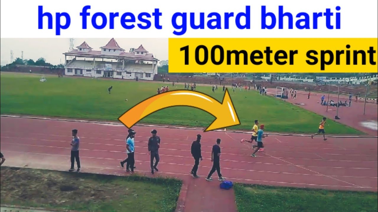 hp forest guard bharti physical test 100 meter sprint  high jump #hpforestguardbharti2021physical