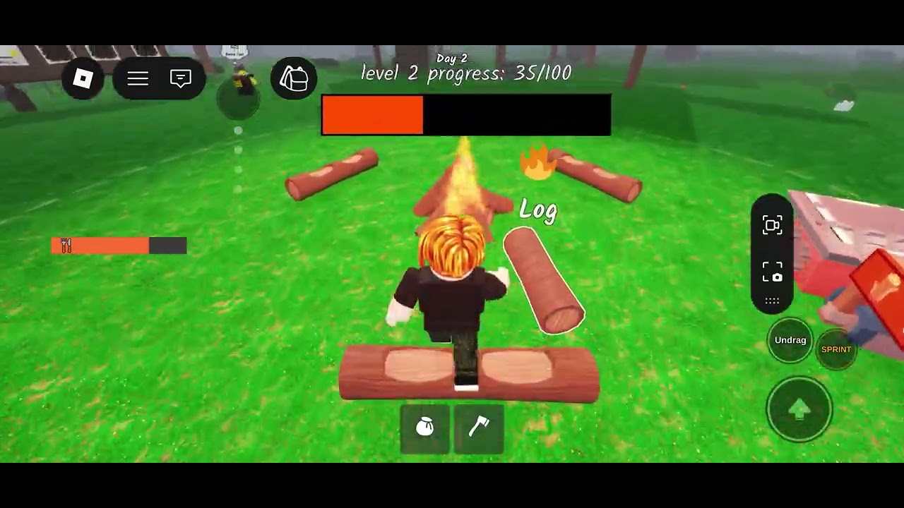 Playing 99 nights in the forest