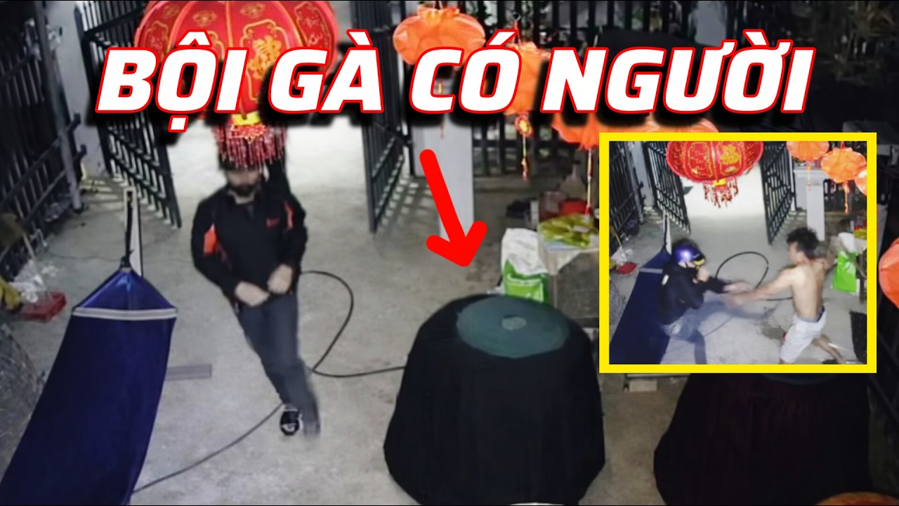 Chủ nhà núp sẵn trong bội gà, cái kết không ngờ