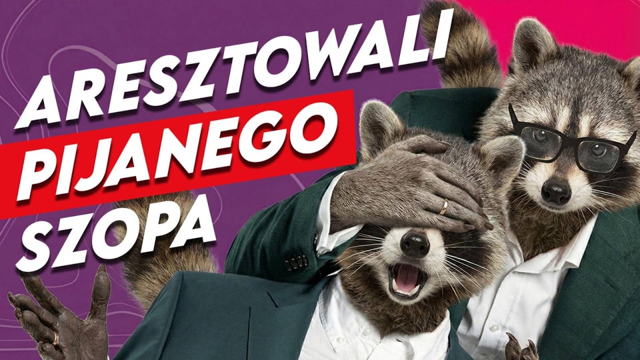 3 miliony oszczędności, pijany szop i powrót legendy po 100 latach! Zobacz, co Cię ominęło 🚀✨