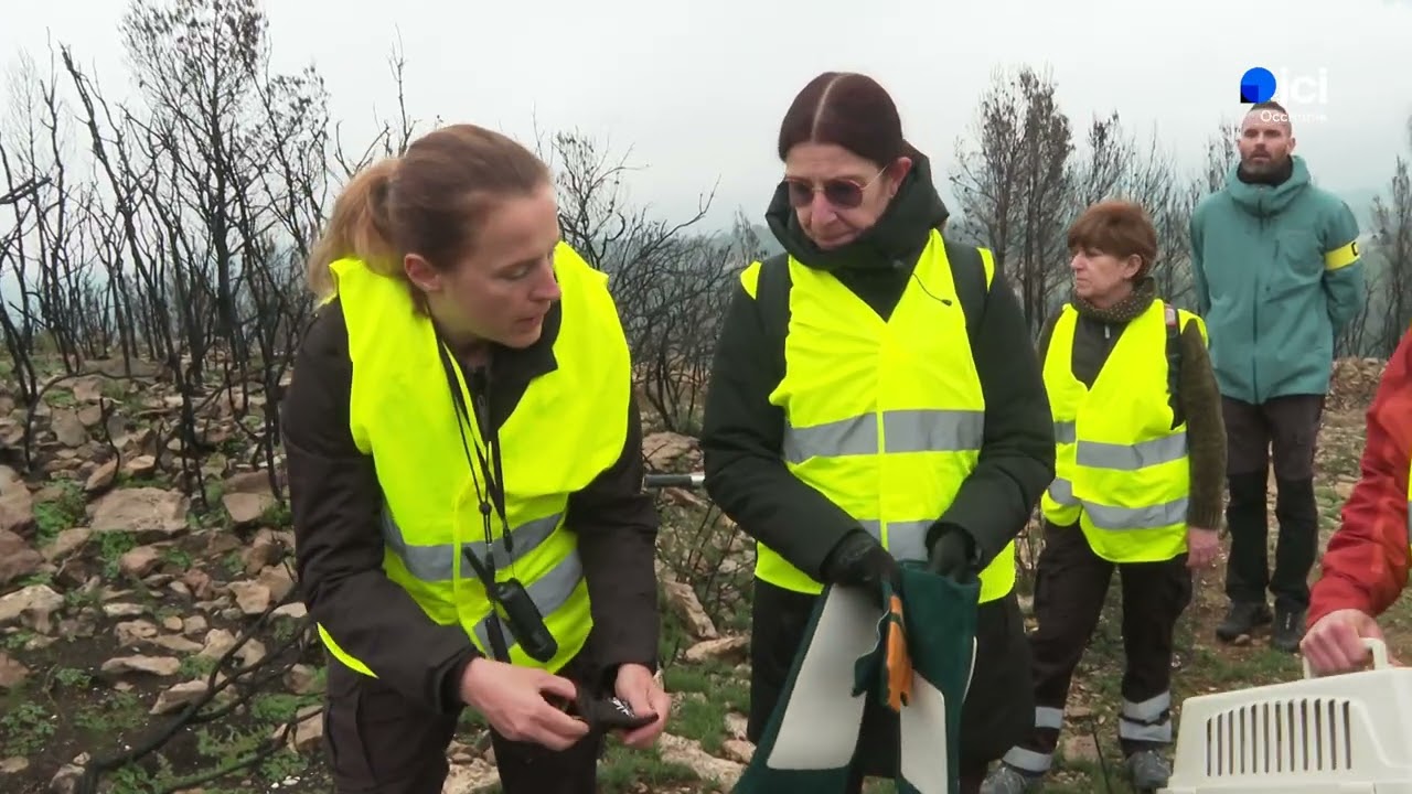 Des bénévoles en formation dans l'Aude pour sauver les animaux victimes des méga feux et incendies