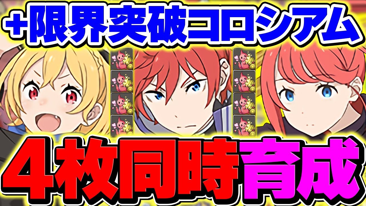 ラインハルト所持者は絶対に見て！+891育成をやろう！周回編成2パターン！！【パズドラ】