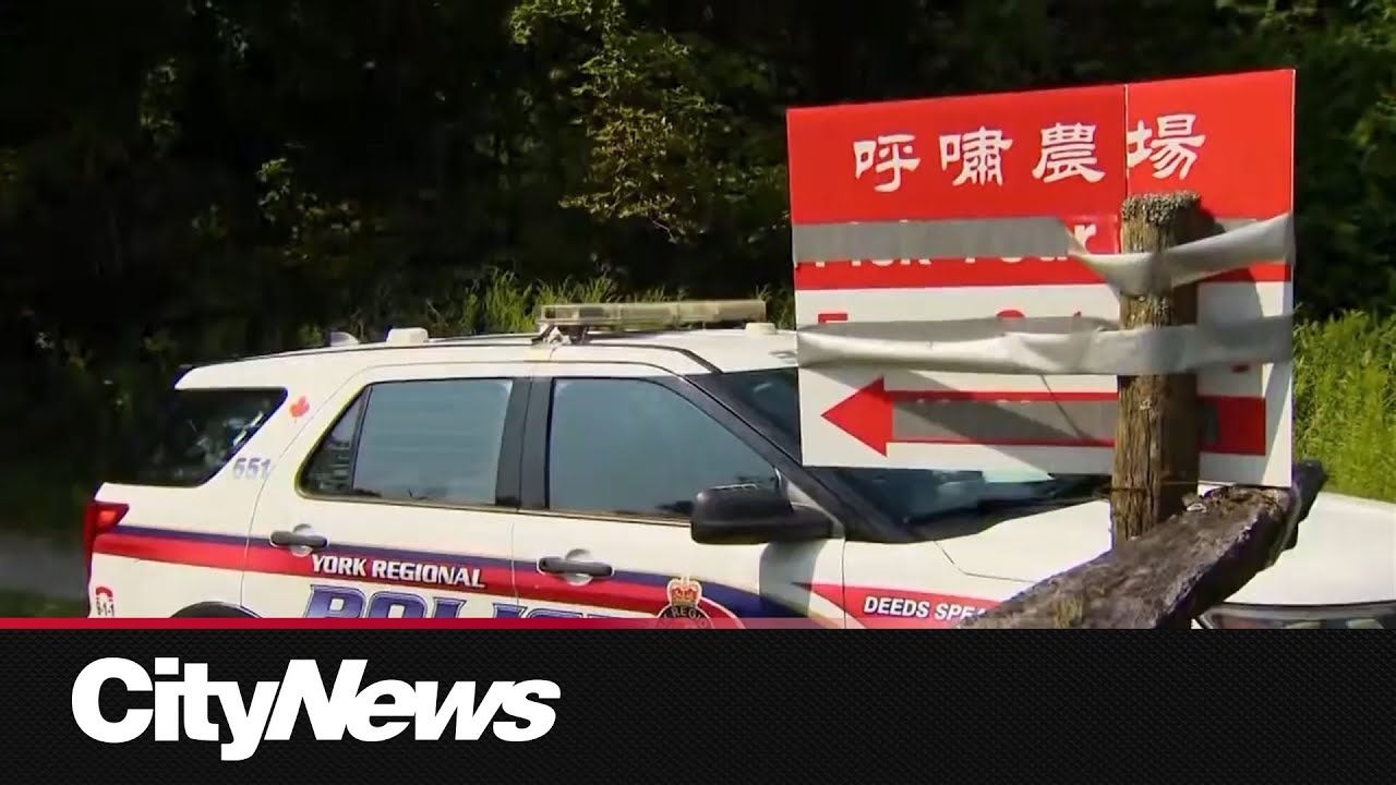 Police identify home in search for missing Markham woman