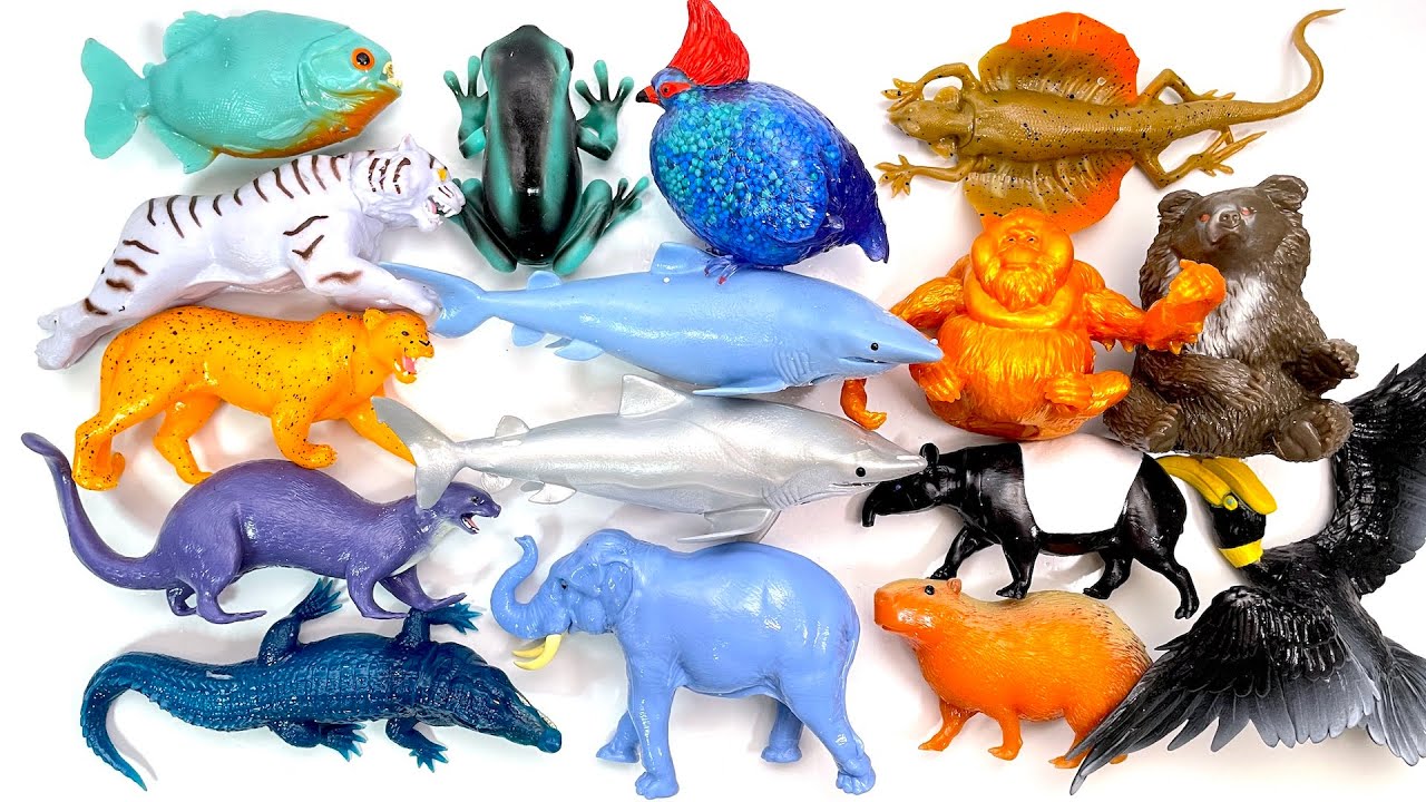 ジャングル＆Ｃｏ.（アンドコ）コンプリートセット 開封 スクイーズ デアゴスティーニ 動物 生き物 JUNGLE & Co. DeAgostini squishy squid