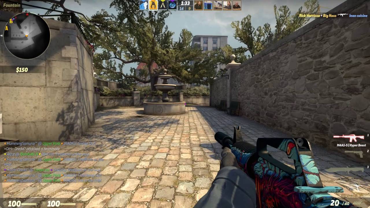 [Counter-Strike]  These Guns are made for shooting