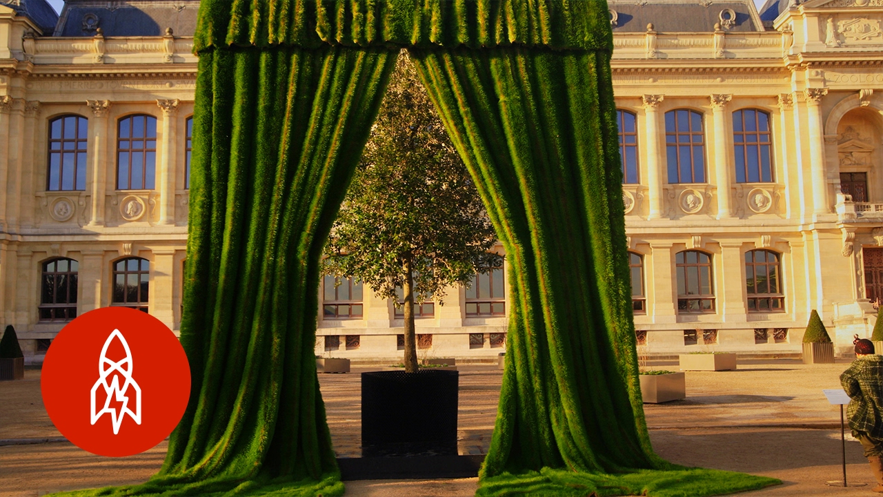 Growing Portraits with Grass | That&rsquo;s Amazing
