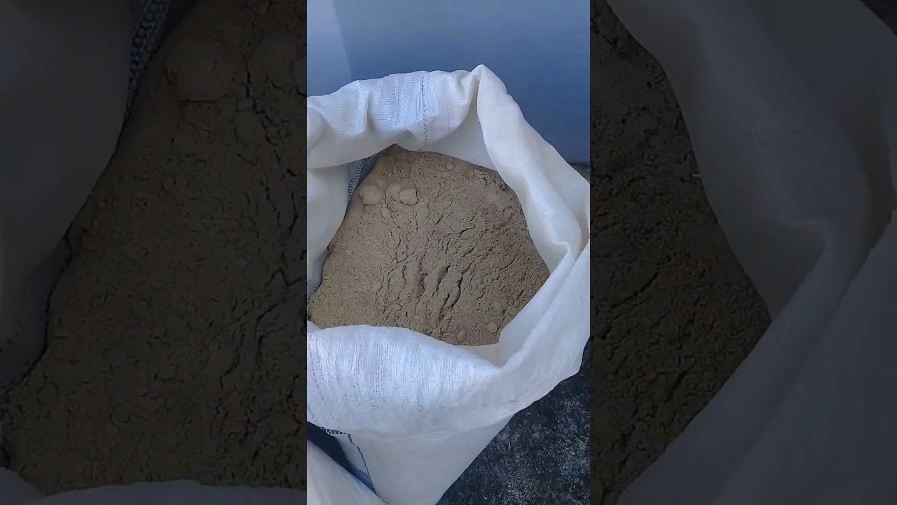 Iniciando a temporada dos Curimbas