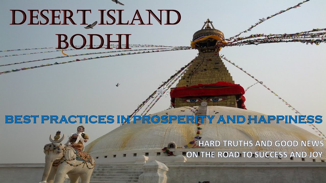 Desert Island Bodhi -             the book