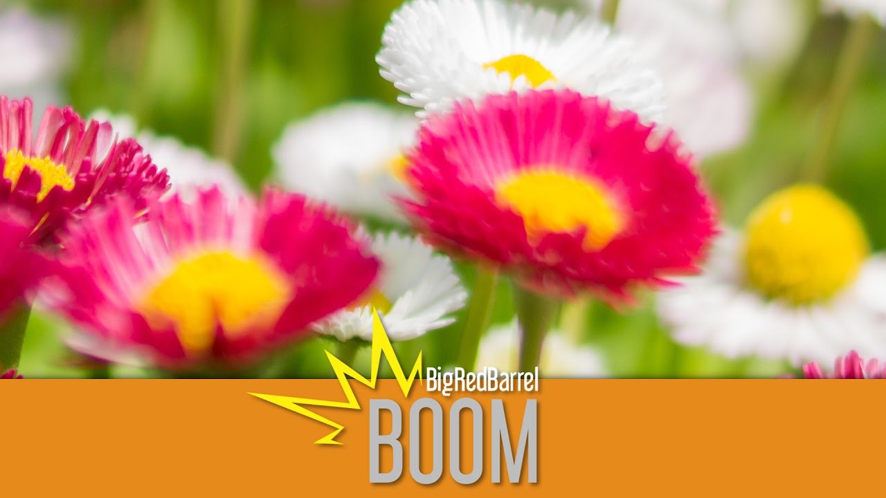 Hey Wilhelmina - BRB BOOM! #8 (18th April, 2012)