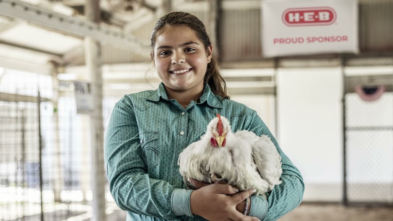 H-E-B Livestock Show Memories :30