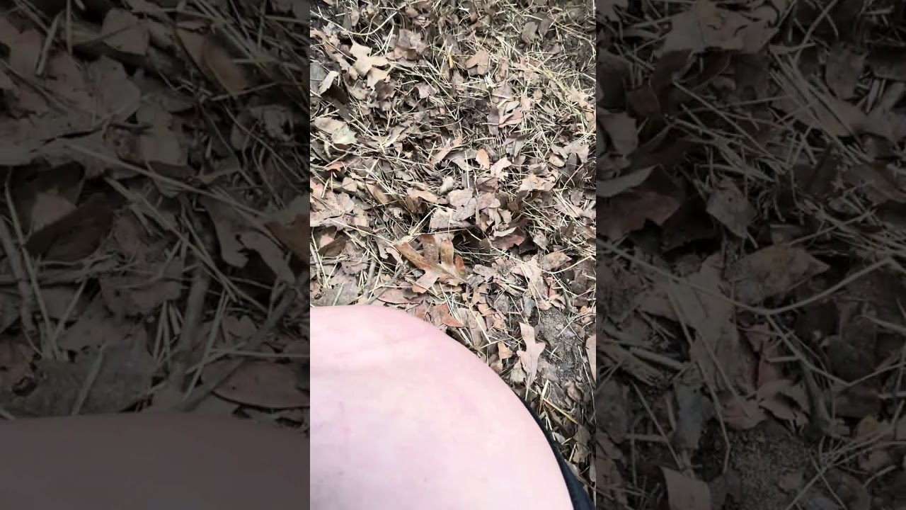 Wilber Loves belly rubs