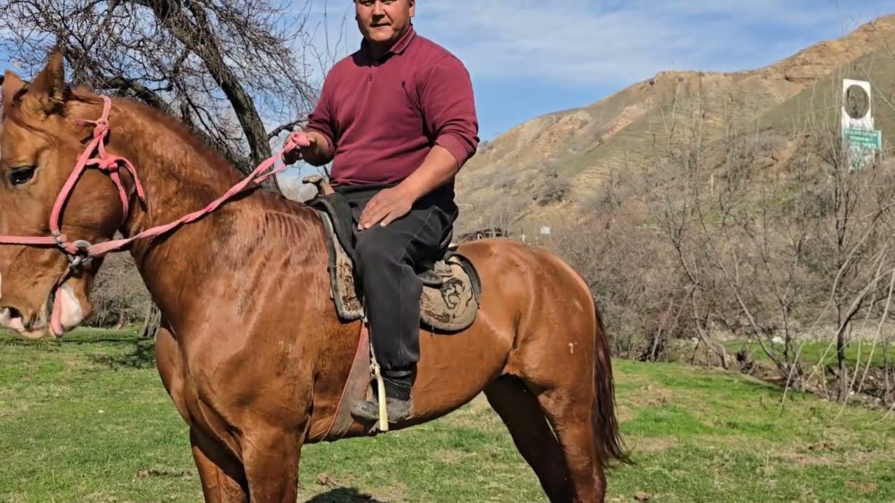 20 20 таза данчак сатылат +996 556 041 496 