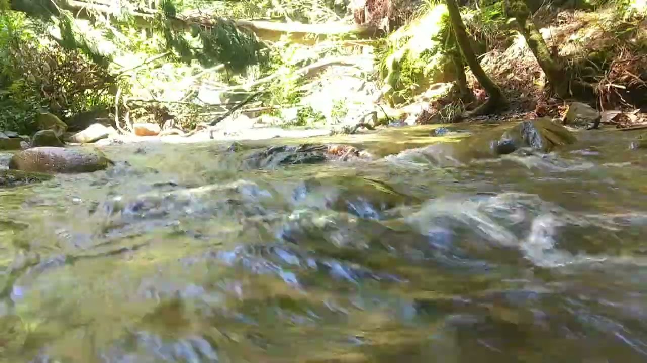 3 minute music-like riversound #naturesounds #川の音#healingsounds  #riversounds #relaxingsounds