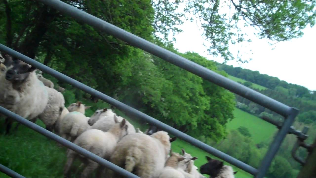 Uncut footage of extreme Recycling in Wales