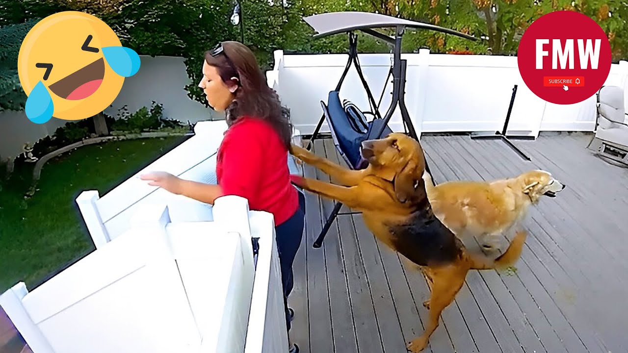 Funny & Hilarious People's Life 😂 #306 | Instant Regret Fails 2025 - Try Not To Laugh Challenge