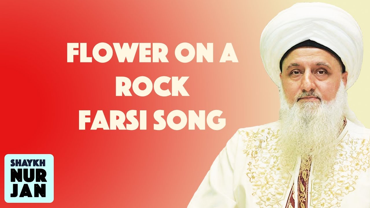 Gole Sangam - I am a Flower on a Rock - Farsi Song Group Singing گل سنگم Sufi Meditation Center