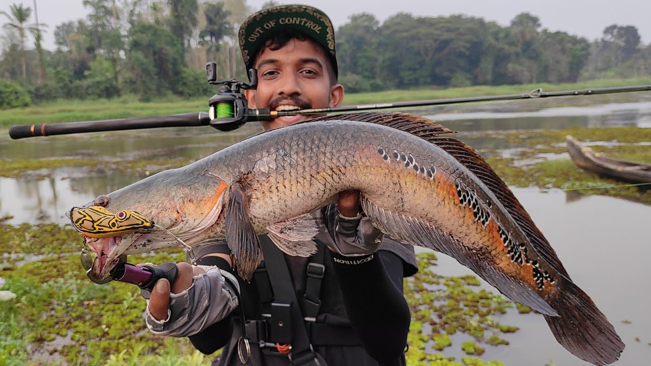 ഇതെന്താണ് പെരുമ്പാമ്പ് ആണോ.. 😱😱 100% Long cast കിട്ടുന്ന frog lure.. best for spinning rod and reel.