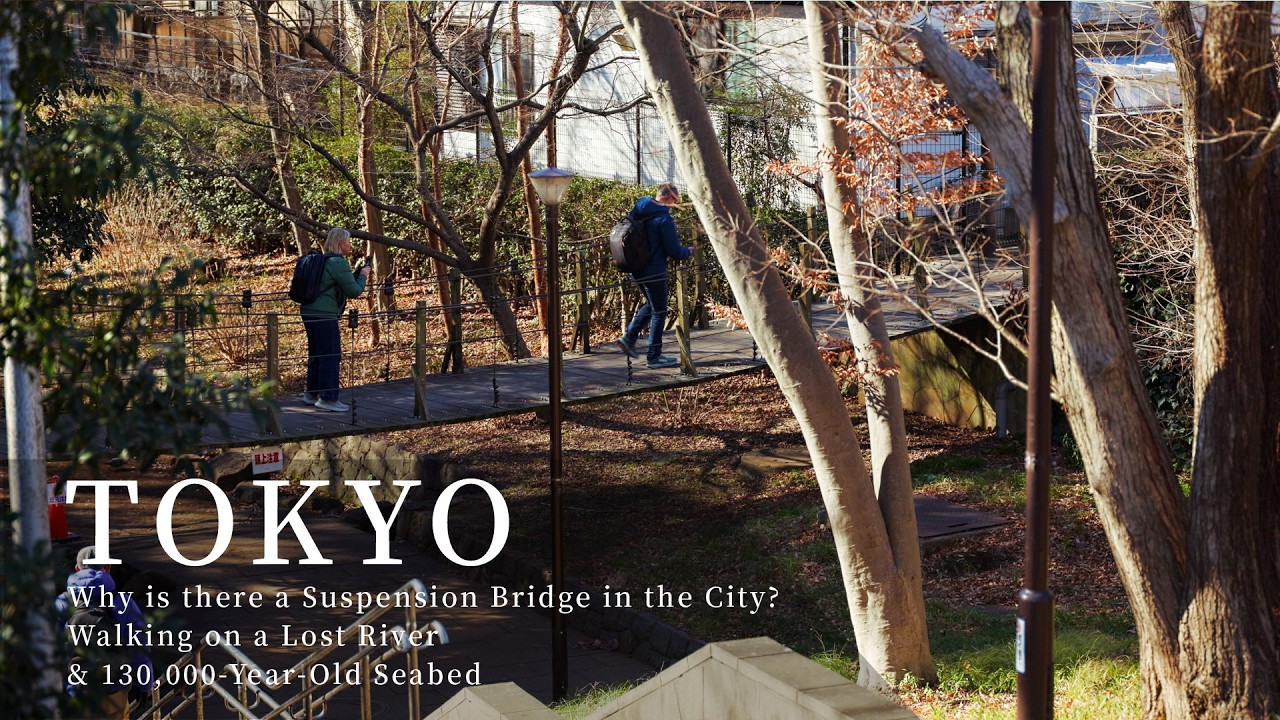 Why is there a Suspension Bridge in the City? Walking on a Lost River & 130,000-Year-Old Seabed