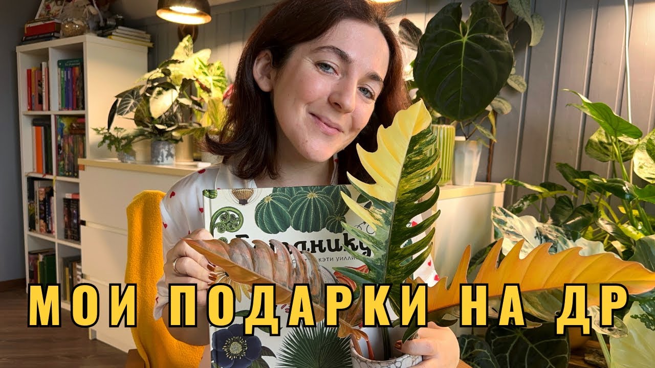 Что мне подарили на др? Обзор всех подарков: желанные растения, керамика, книги и другое❤️