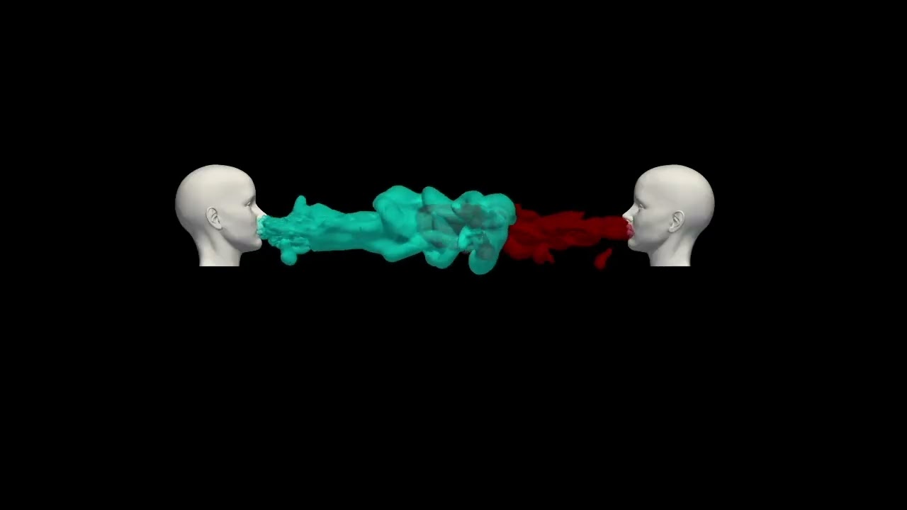 V0034 - Risk of virus transmission in two-people conversations