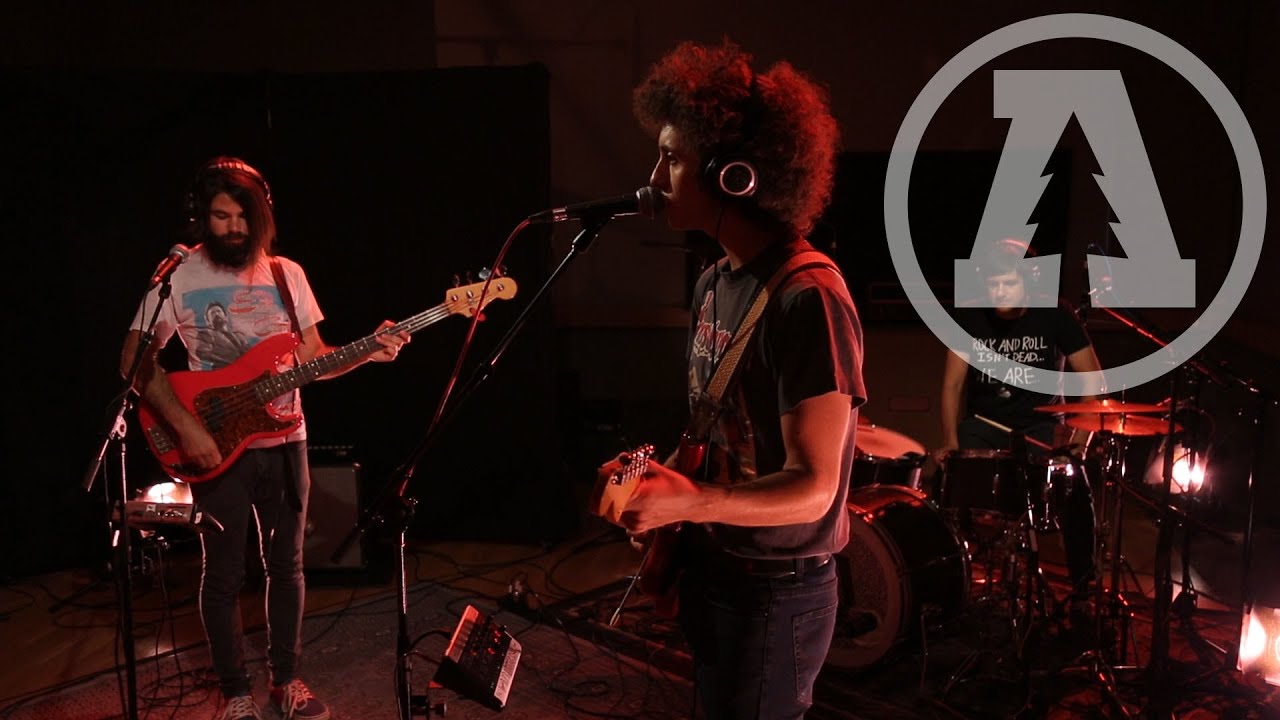Ron Gallo - All The Punks Are Domesticated | Audiotree Live