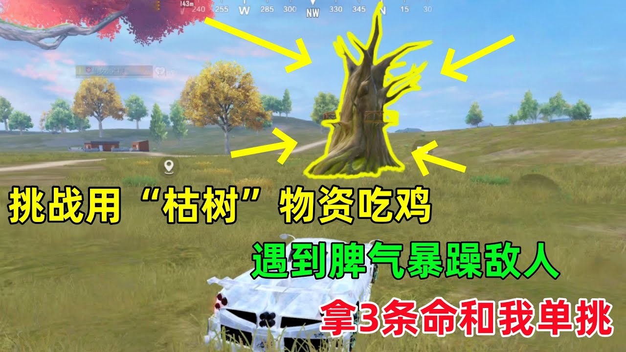挑战用“枯树”物资吃鸡！比偷别人果实肥多了，暴躁敌人用3条命和我单挑！