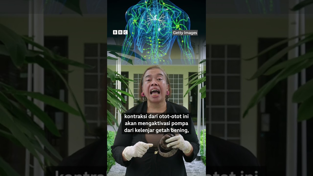 Pertolongan pertama setelah digigit ular untuk mencegah bisa menyebar dengan cepat