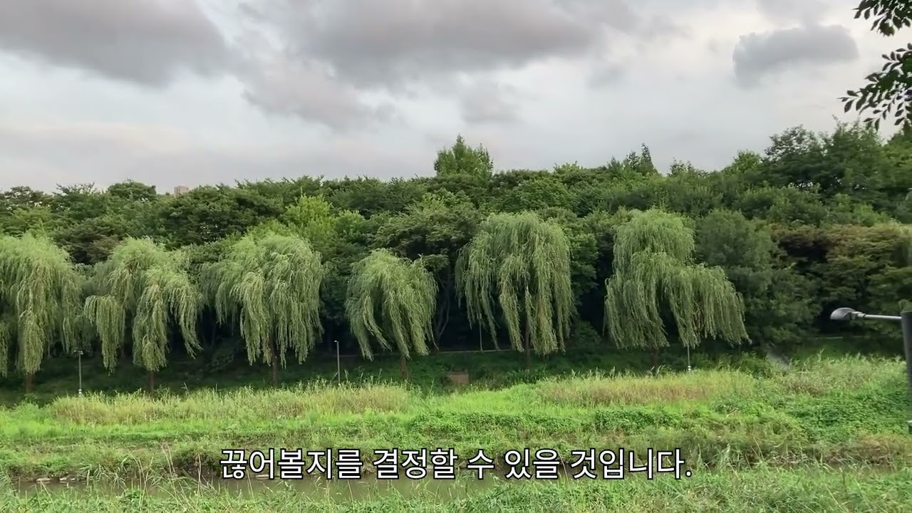 청소년 정신병, 약 없는 정면돌파- 정신병 치료의 현실과 한계, 그리고 쟁점사항들. (연세 비약물 조현병 클리닉. 02-542.1261.)