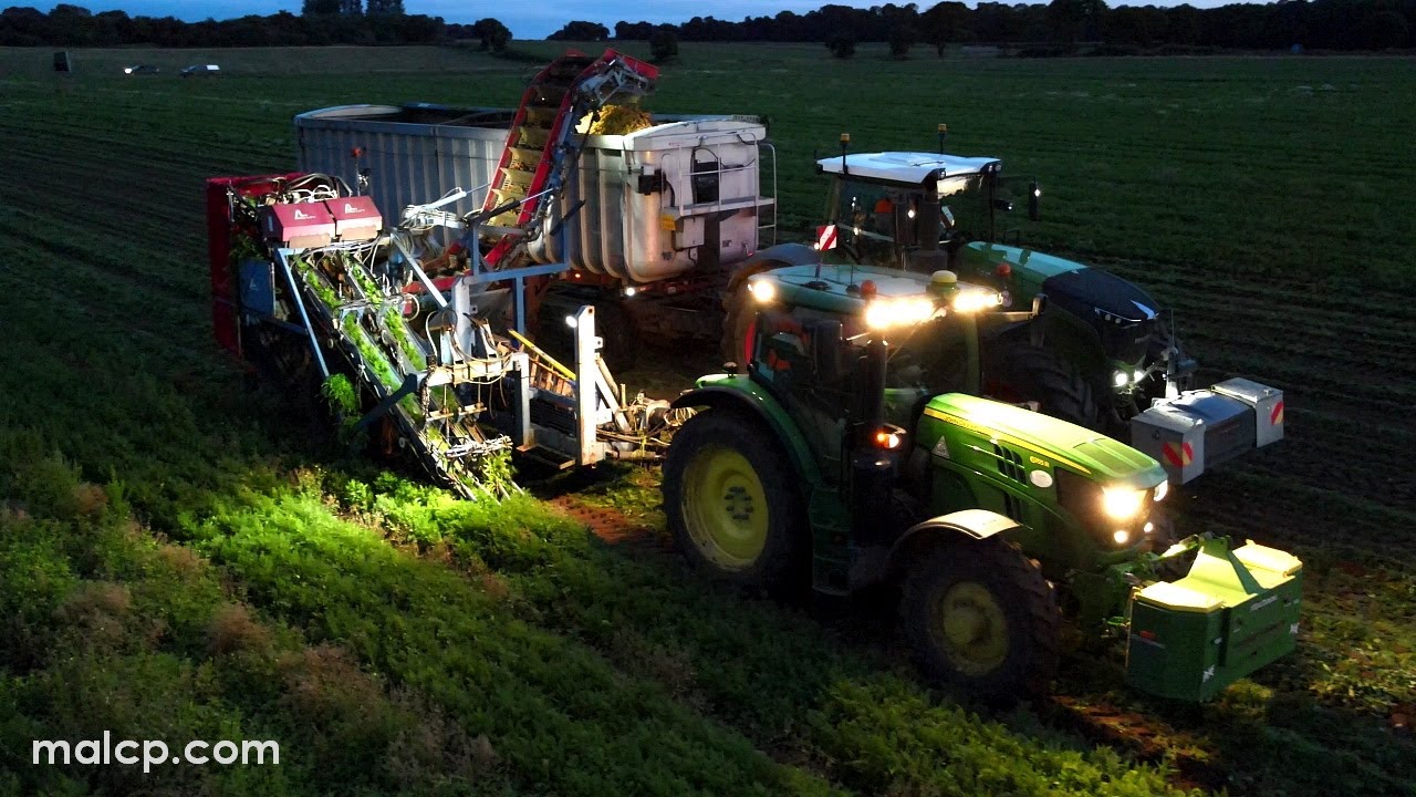4Kᵁᴴᴰ Night time carrots! Fendt 1050 Vario tractor & John Deere 6155R  - Harvest 2023.