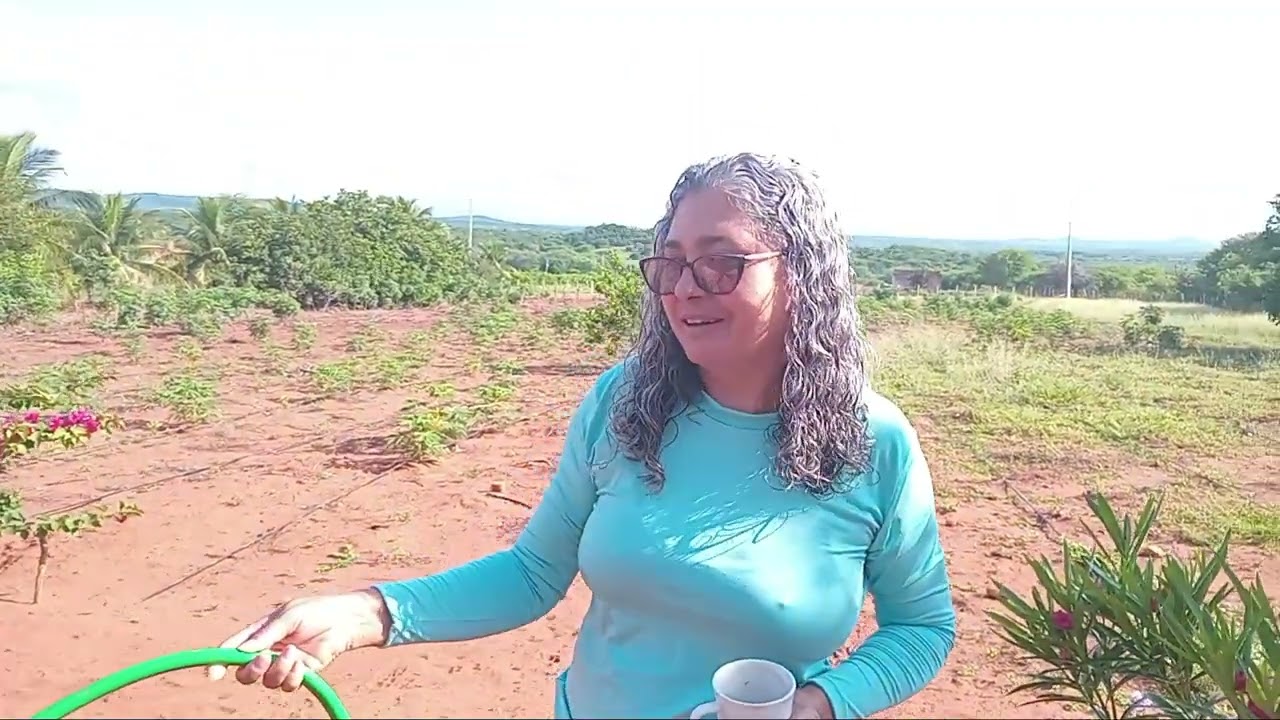 O que é uma CUIA? Neste vídeo, explicamos.