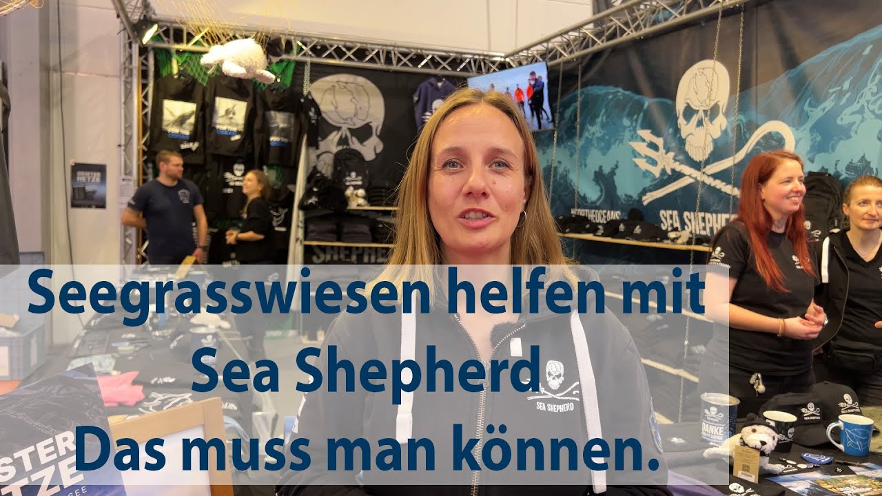 Sea Shepherd - Seegras Renaturierung - welche Tauch-Skills braucht man