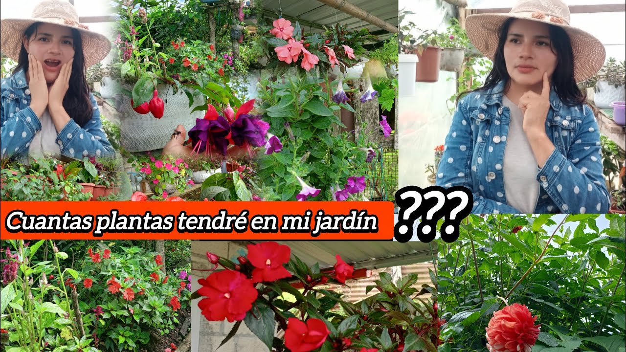 Nuevo RETO invitado por el jardín de Mila....cuántas plantas tengo en mi jardín!!!! 🌺quieren saber!!