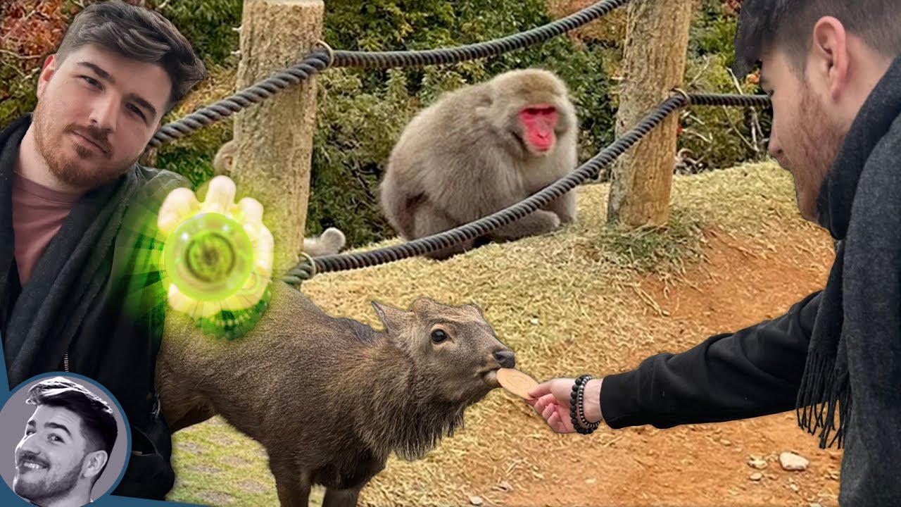 I'm Back from Japan